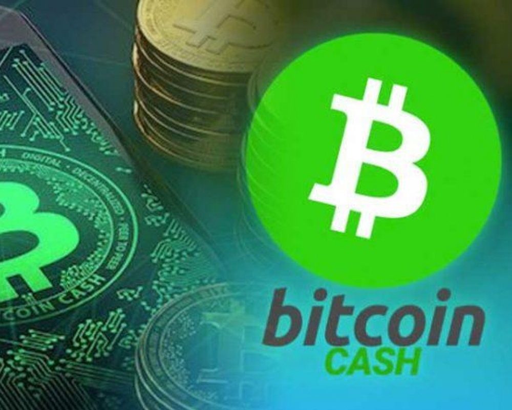 Dự đoán giá Bitcoin Cash 2023, 2024, 2025 và 2030